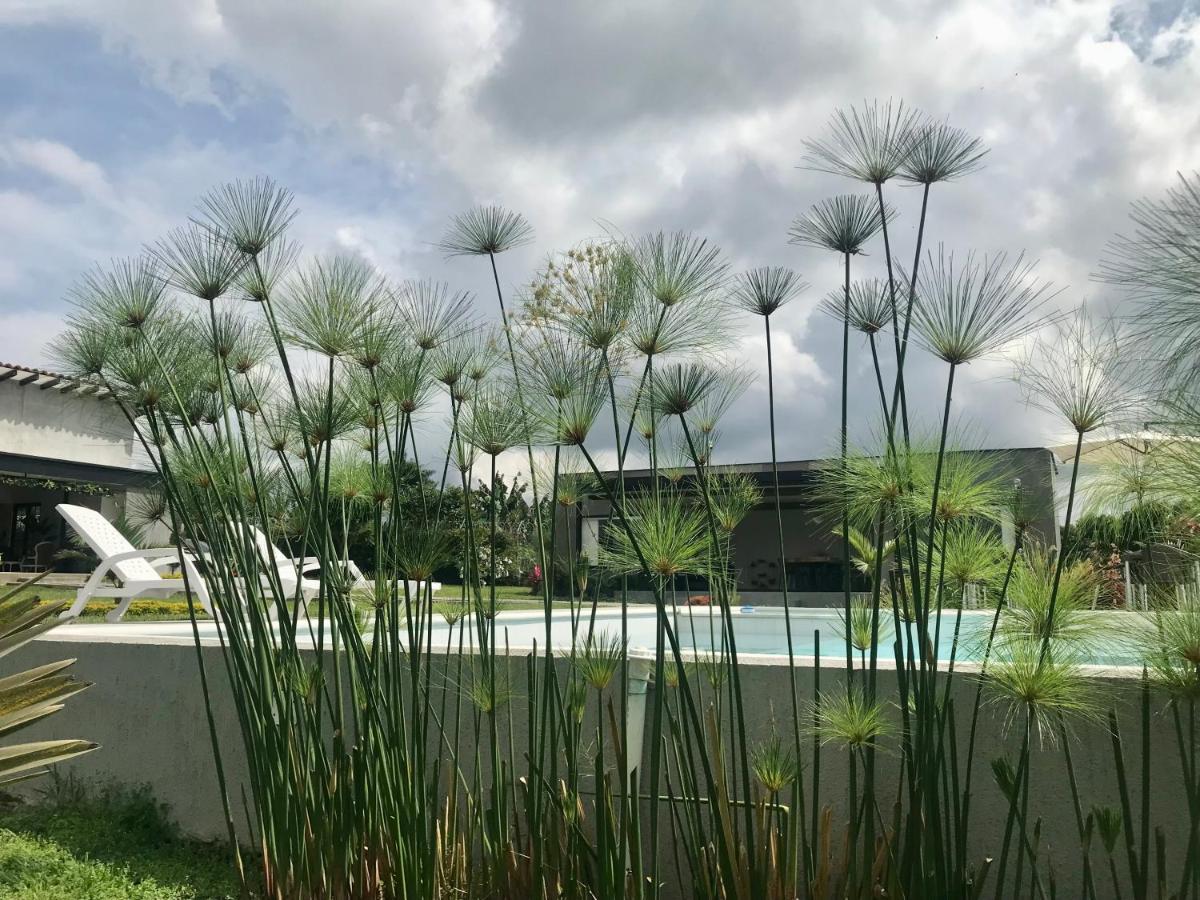 Torcaza Casa De Campo กิมบายา ภายนอก รูปภาพ
